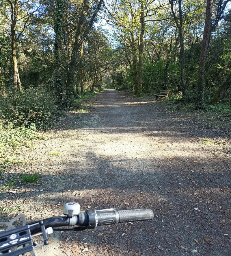 Entre marais et foret de Monts, à Saint-Hilaire-de-Riez - Saint-Hilaire-de-Riez