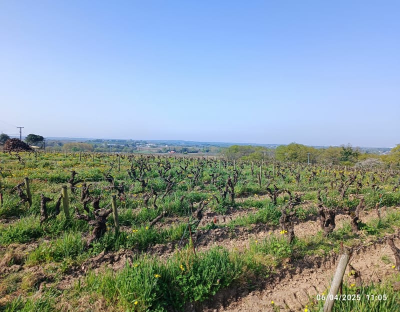 Autour du Loroux - Saint-Julien-de-Concelles