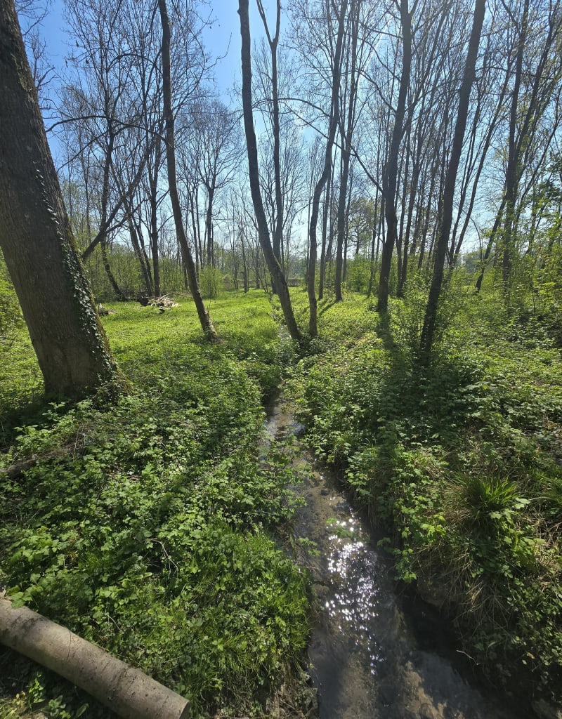 Marais de Fontenay-le-Vicomte et les Marais - Fontenay-le-Vicomte