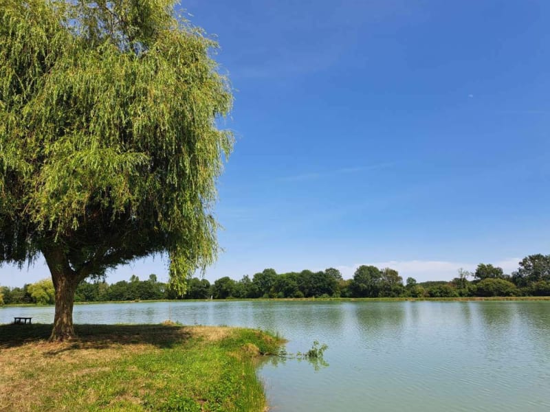 Balade autour de la base de loisir des 3 fontaines - Champagné-Saint-Hilaire