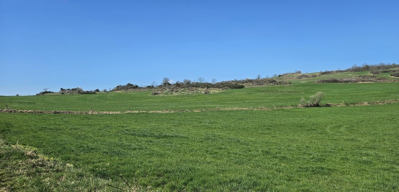 Les Pierres levées - Cournols