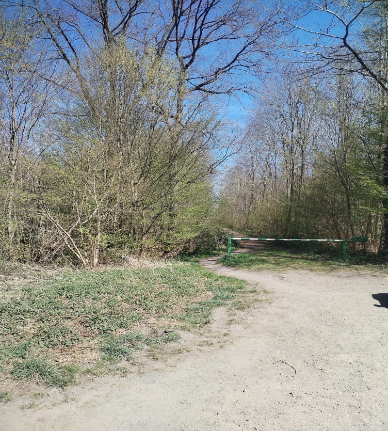 Forêt de Wallers Arenberg - Raismes