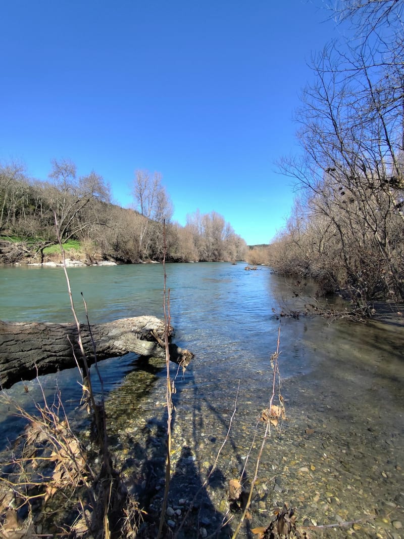 Les berges de l'Hérault - Saint-Bauzille-de-Putois