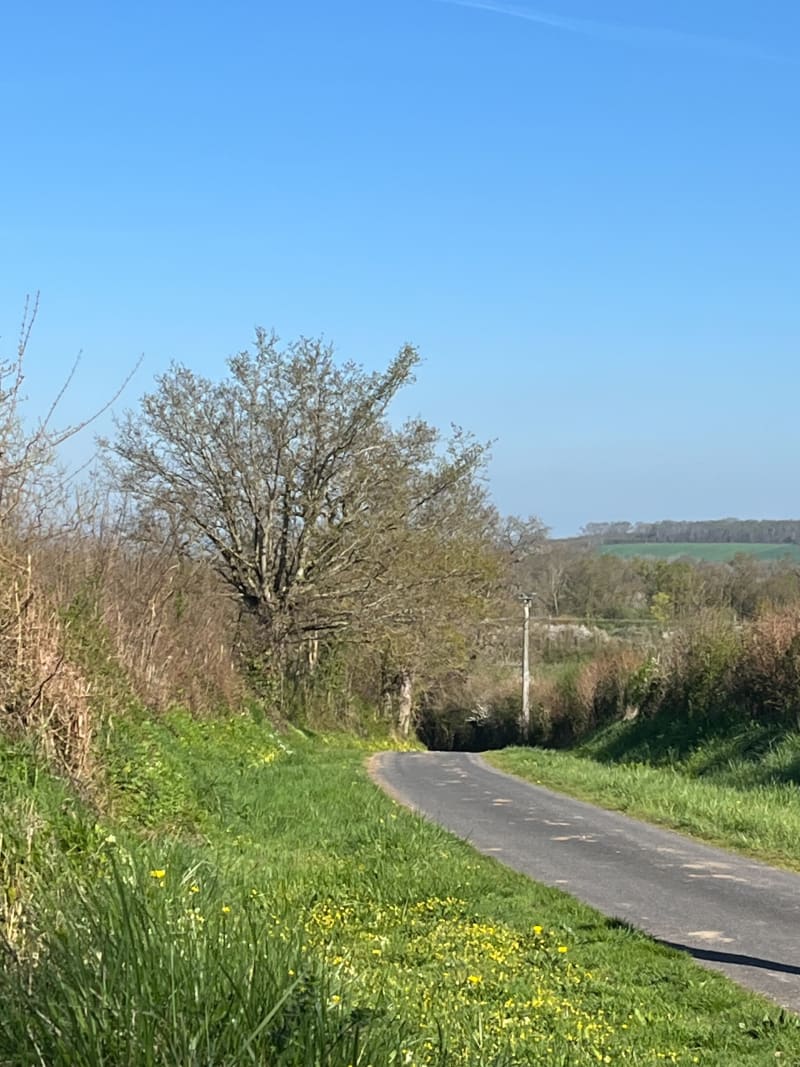 La Vallée de l'Elle - Saint-Clair-sur-l'Elle