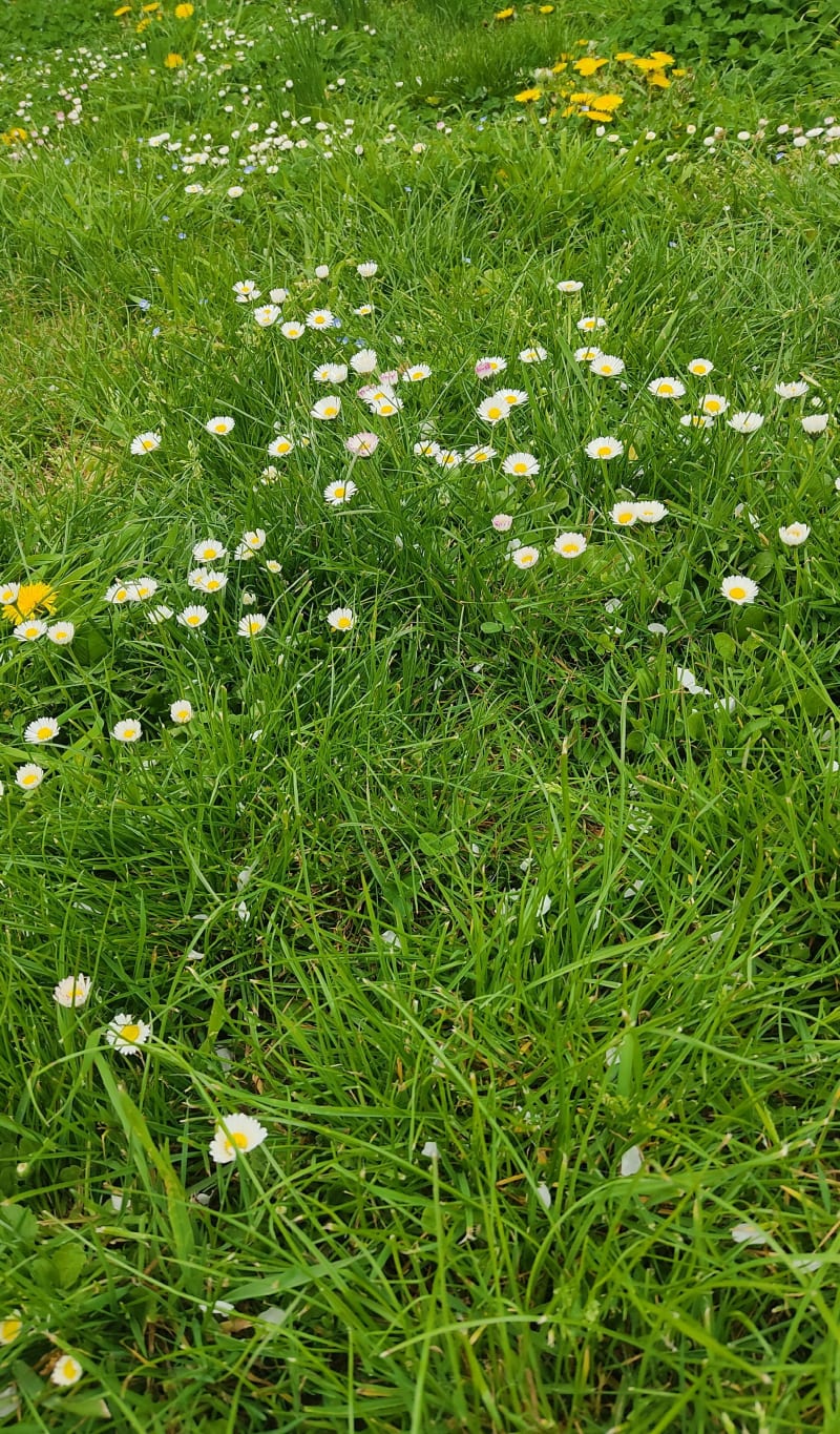 Balade Cissoise, par Veuzain-sur-Loire - Valencisse