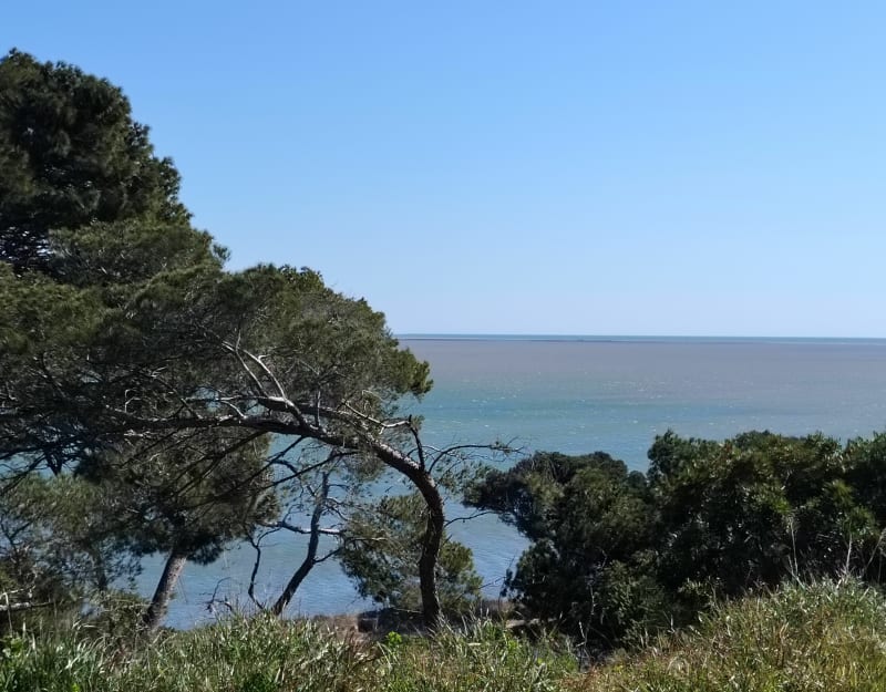 L'île de Ste Lucie à Port la Nouvelle - Port-la-Nouvelle