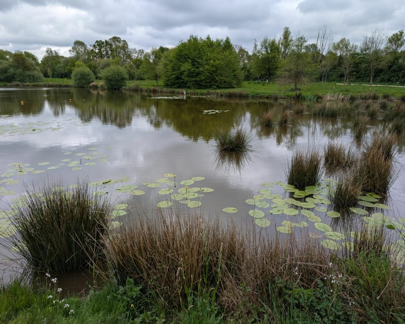 Balade autour de l'étong du Grand Fay - Saint-Père-en-Retz