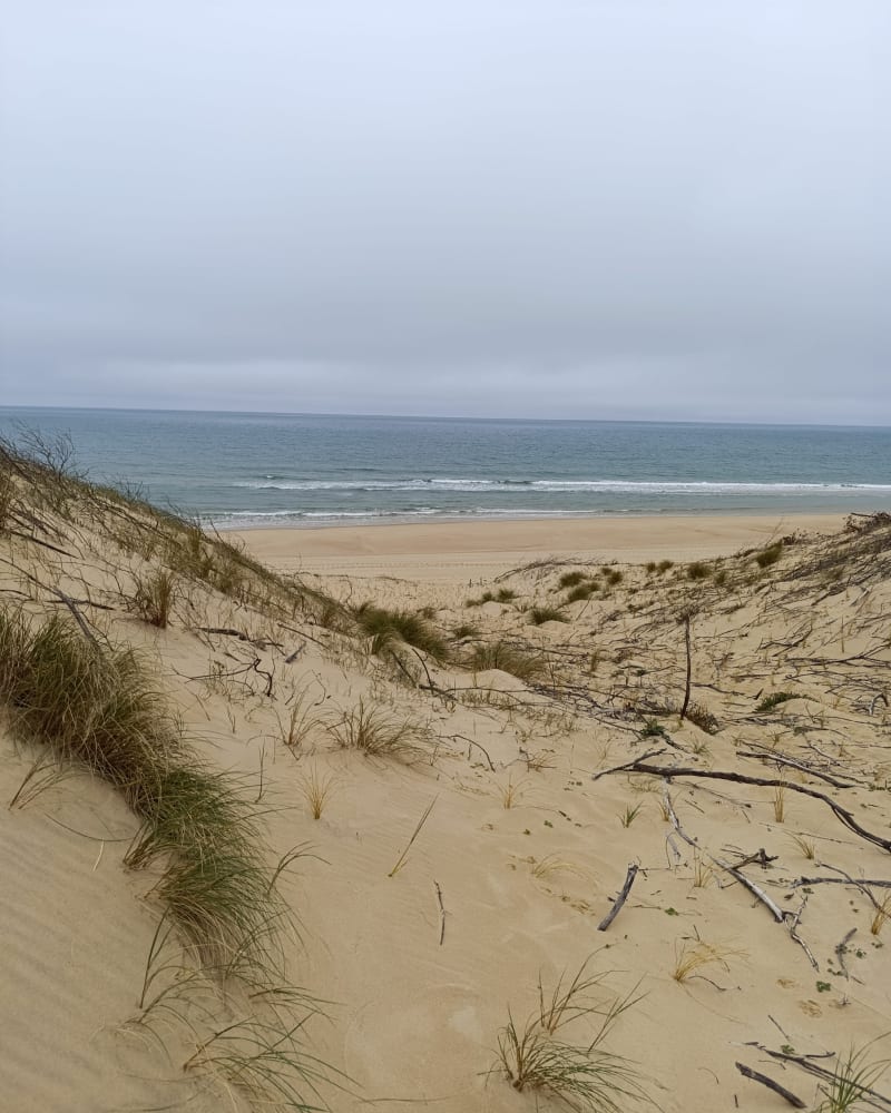 Ocean - Bassin à L'Herbe - Lège-Cap-Ferret