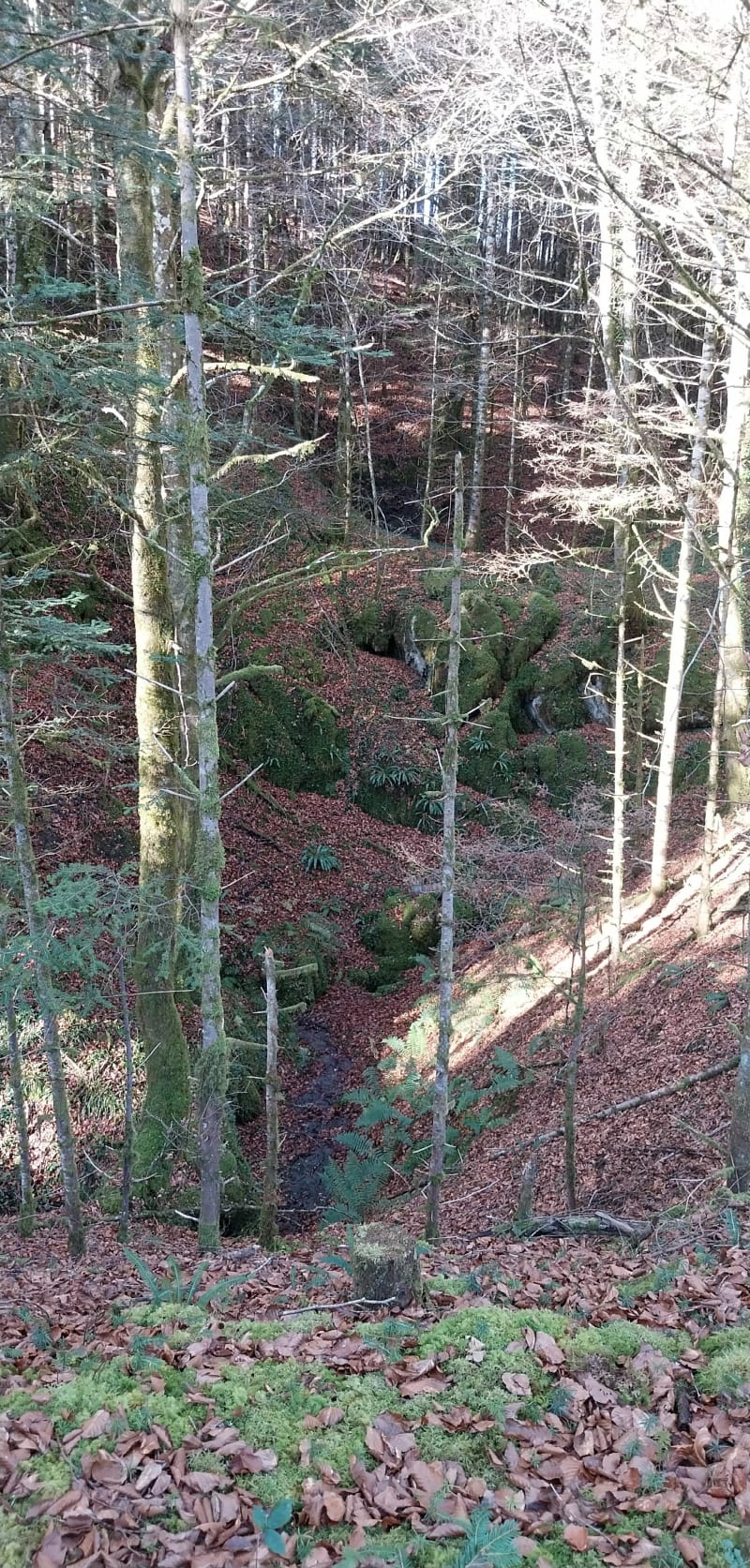 Rando boucles "creux et bosses"et "Hadas" et Plagnol - Eycheil