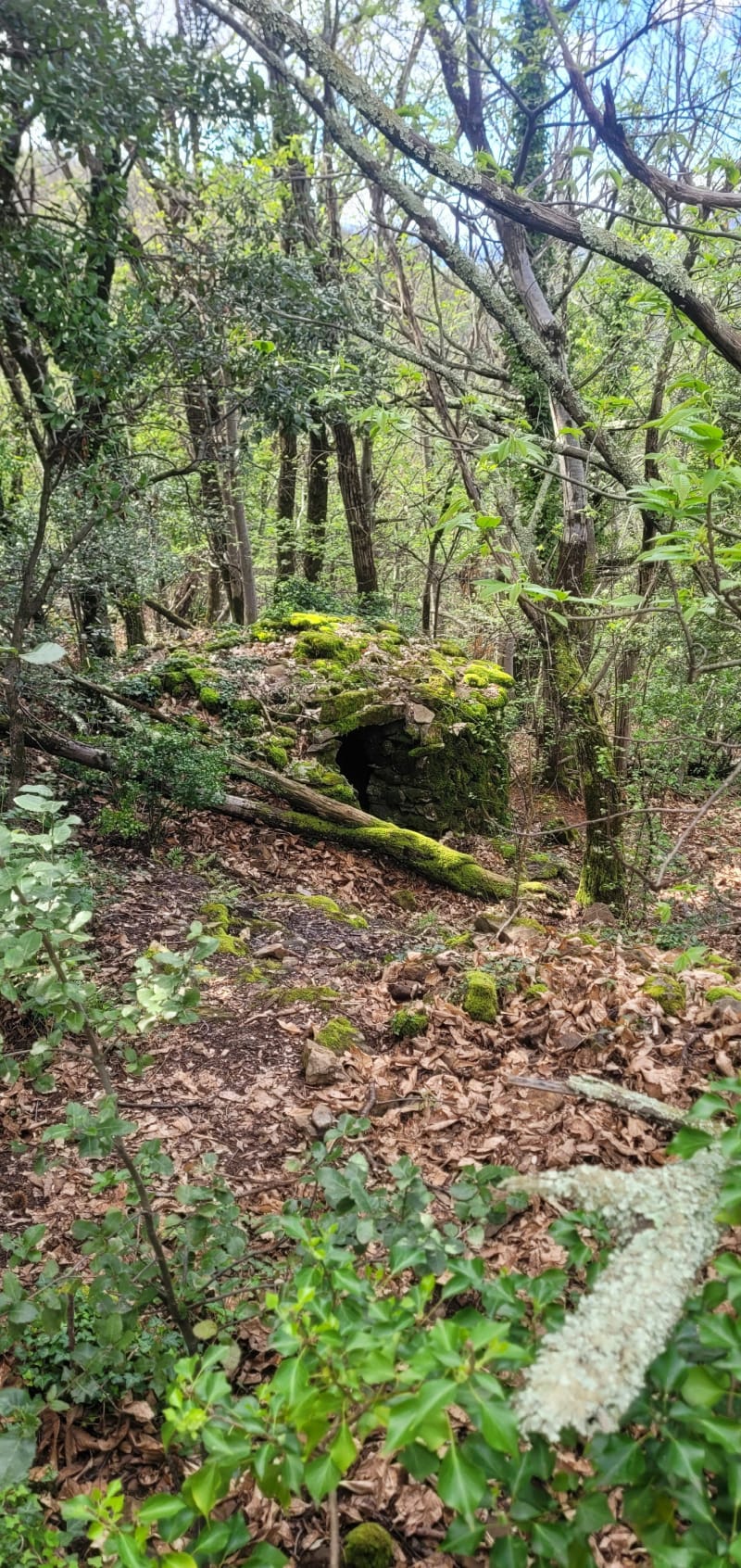 La mine au Bois Dormant à Robiac-Rochessadoule - Robiac-Rochessadoule