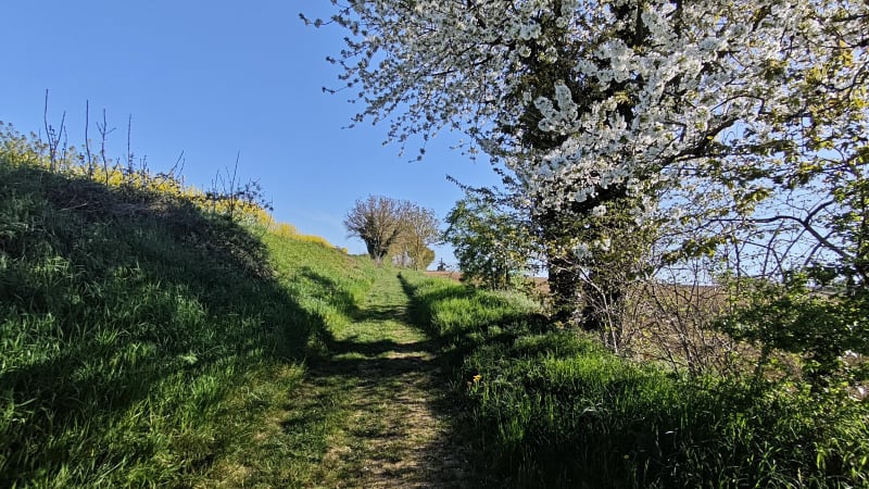 Villeneuve Beauregard par les chemins buissoniers - Villeneuve
