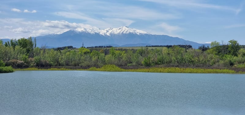 Lac de Villeneuve-de-la-Raho - Villeneuve-de-la-Raho