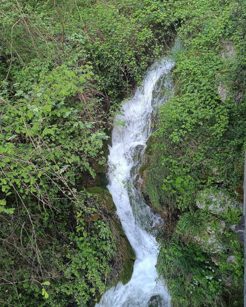 Les Saillant du Gual - Le Gua