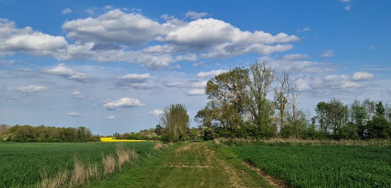 Angerville et ses champs - Angerville