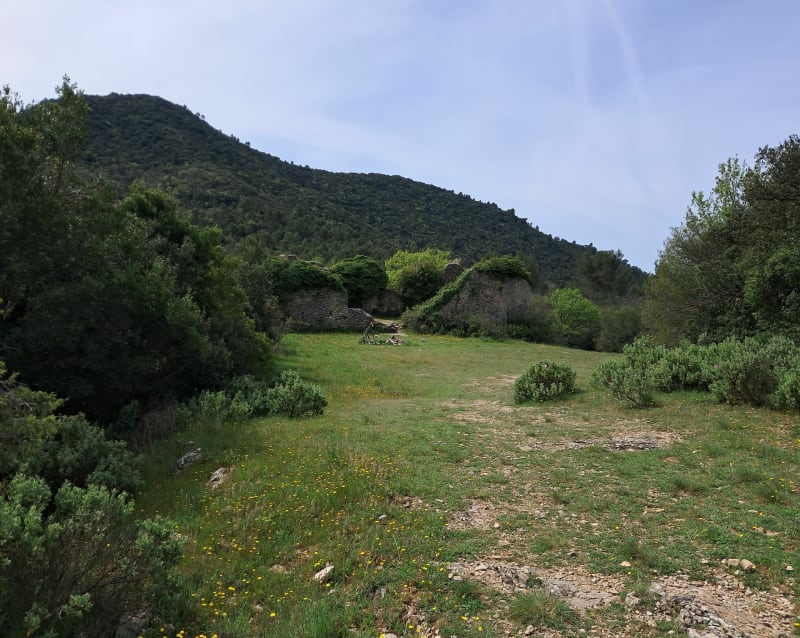 Le haut Latay, au départ de Chibron à Signes - Signes
