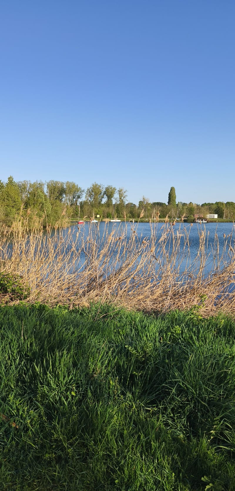 Tour des lacs de Cepoy - Cepoy