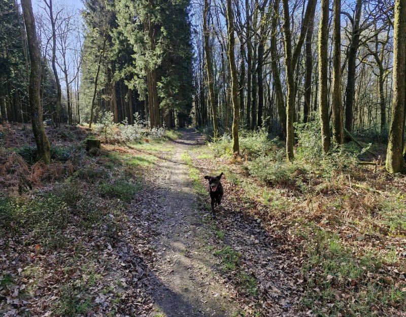 Balade sur la commune les Mazures - Les Mazures