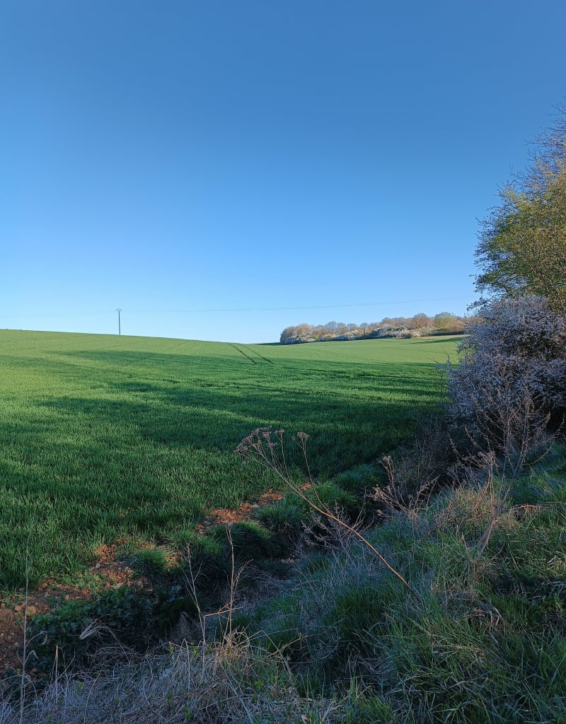 Plateau Angevillers - Angevillers