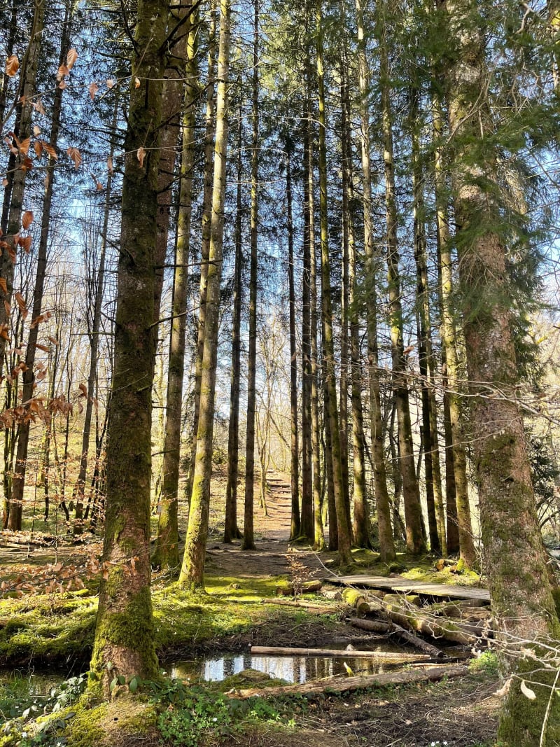 Balade tranquille au Saut de Gouloux - Gouloux