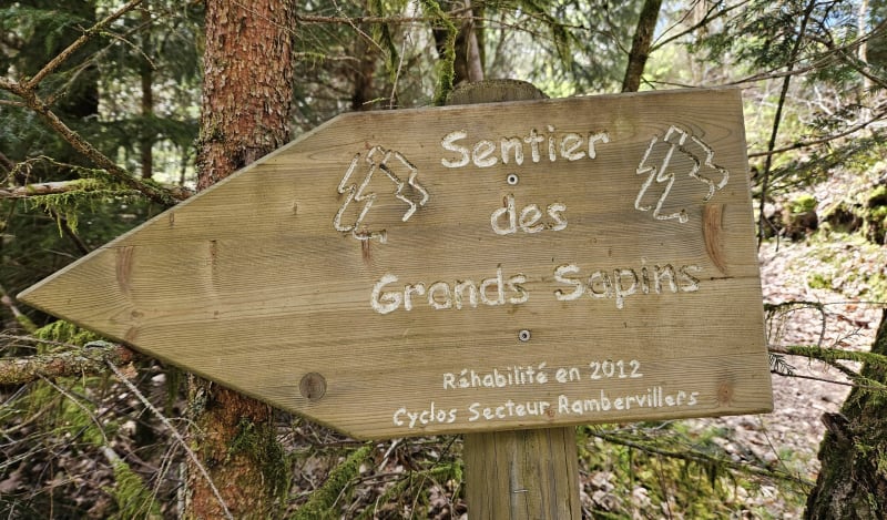 Sentier des Grands Sapins et les Verrières - Housseras