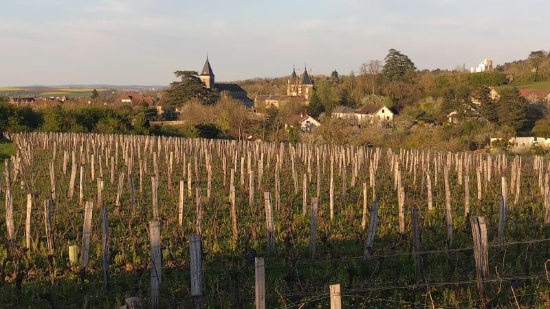 Boucle des Vignes à Gy - Gy