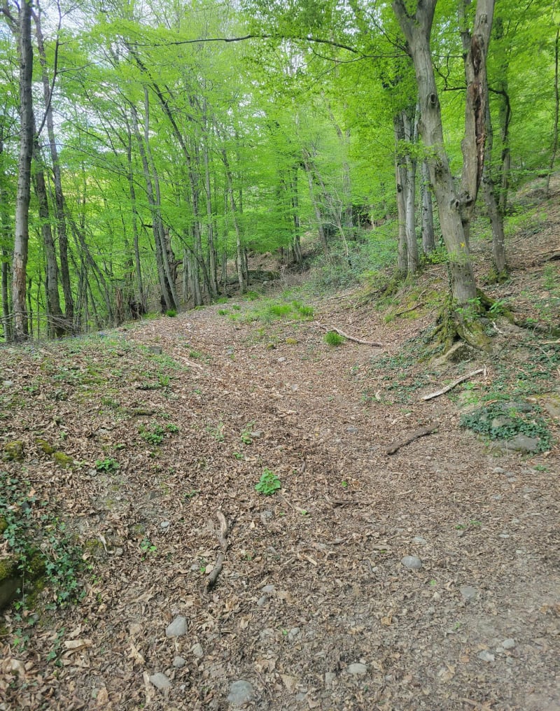 Le Belvédère de la Bathie - La Bâthie