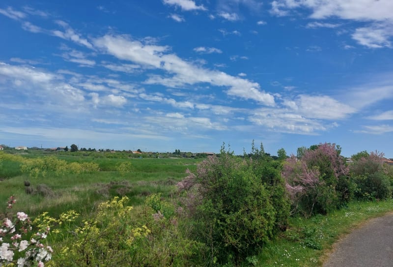 Entre mer et marais depuis Angoulins - Angoulins