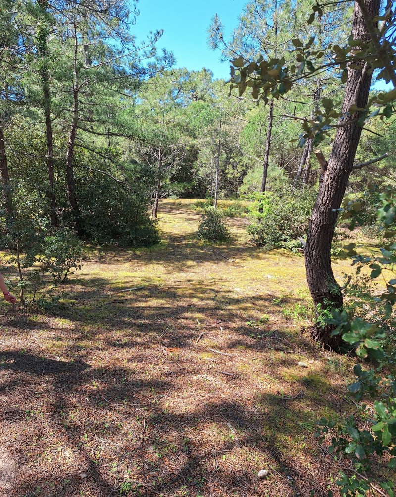 Boucle du Bois de Trousse Chemise et plage du Gros Jonc - Les Portes-en-Ré