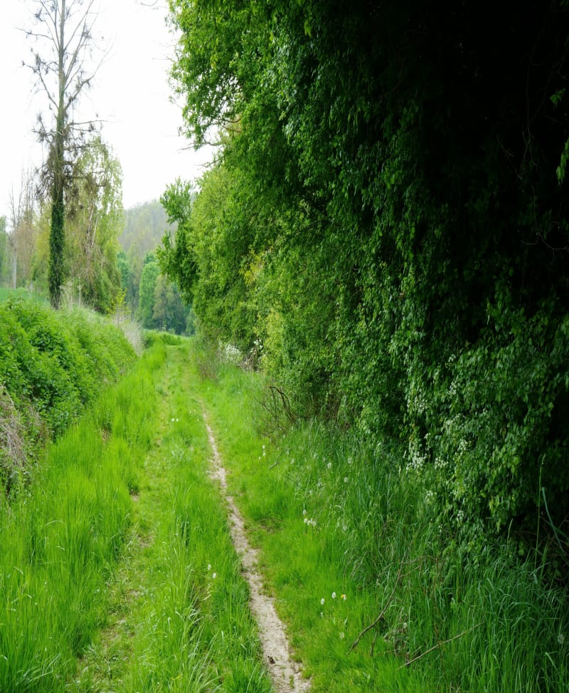 Petite promenade à Boutigny, par Prévilliers - Boutigny