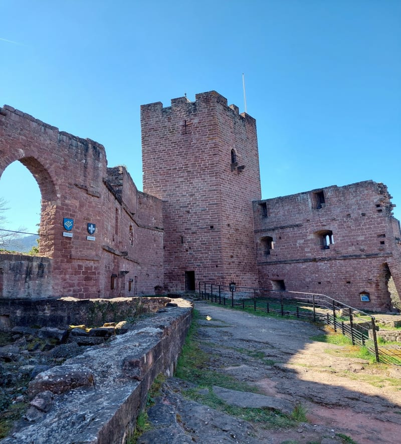 Château du Wagenbourg et château du Freudeneck - Wangenbourg-Engenthal
