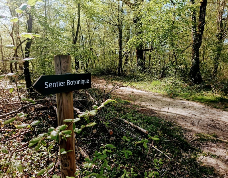 VTT pour les amateurs à Montech - Montech