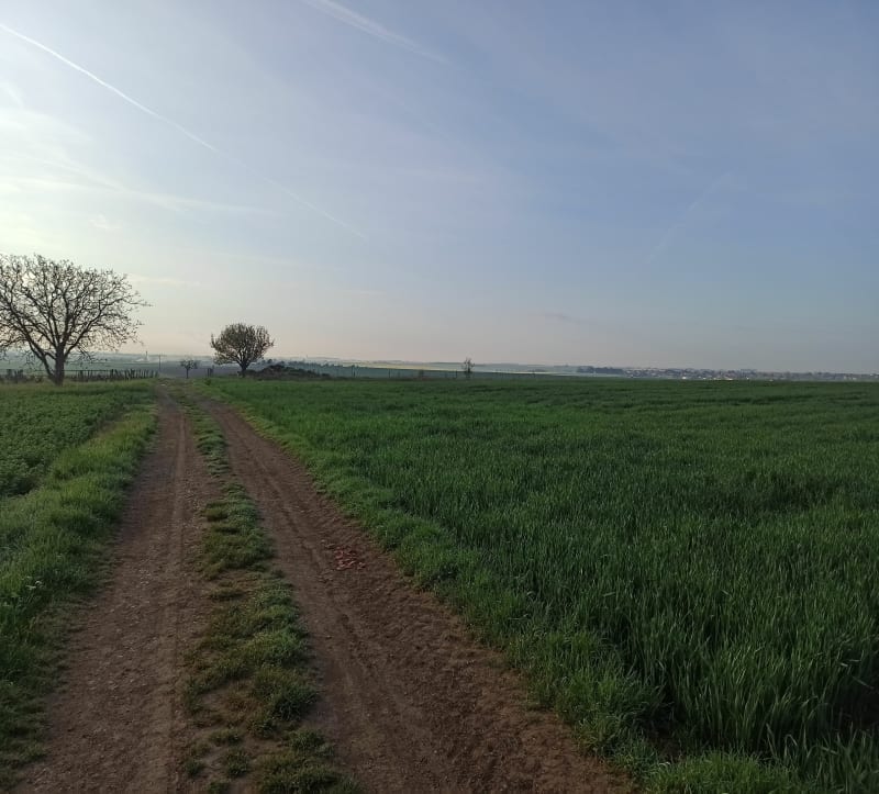Balade entre Chabournay et Neuville - Chabournay