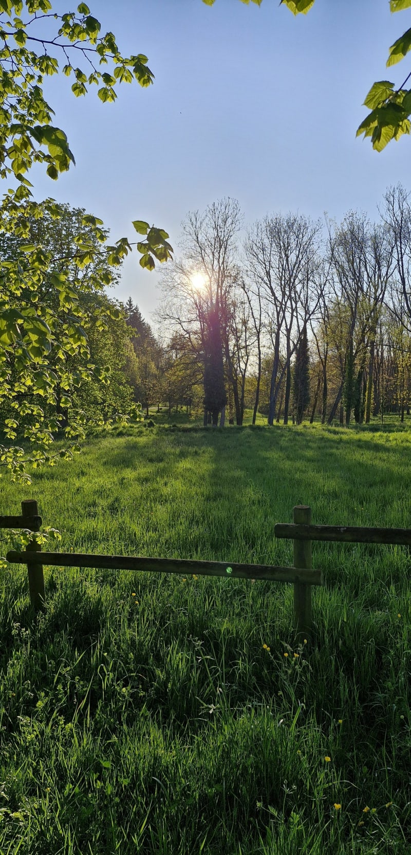 Du Parc du Chasseur au Parc du Minois - Saint-Genest-Lerpt