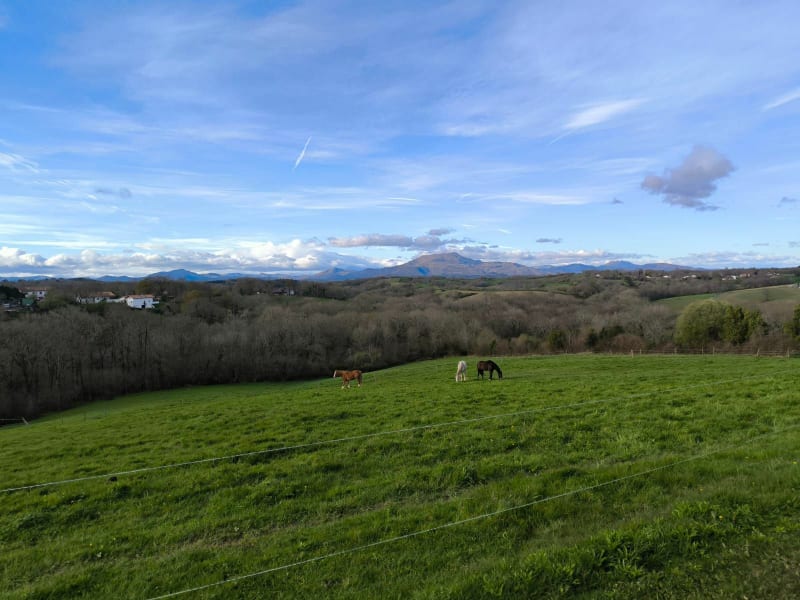 Forêt Briscous - Briscous