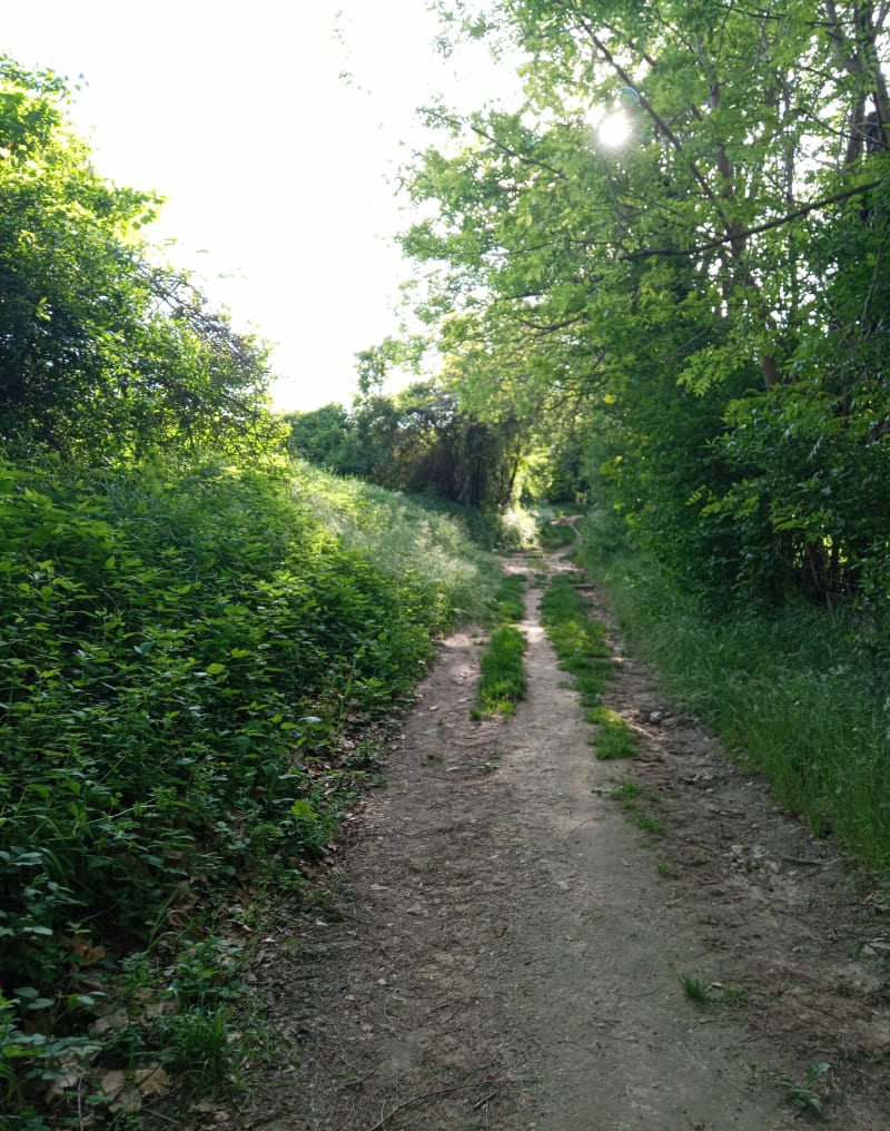 Tournon nord, par les petits chemins calmes - Tournon-sur-Rhône