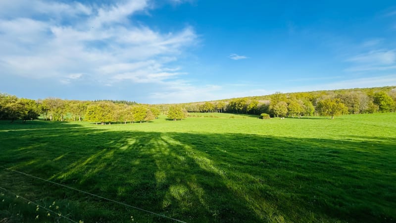 Ourouër boucle forêt des Amognes - Vaux d'Amognes