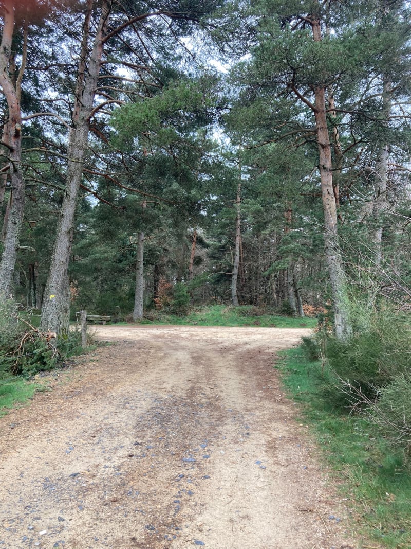 Tour Les Choisinets - Langogne