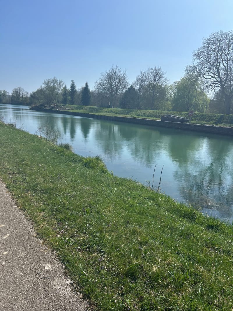 Bord de Marne à  Mareuil - Châtillon-sur-Marne