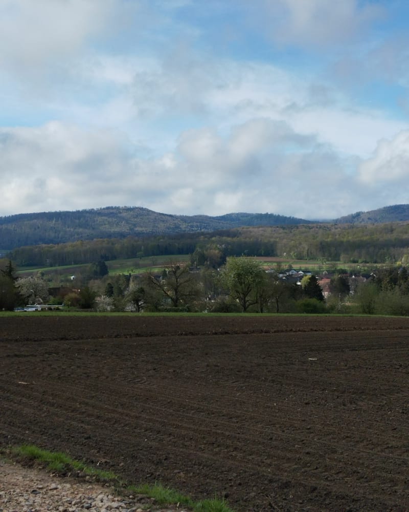 Belle balade au départ de Durmenach - Durmenach