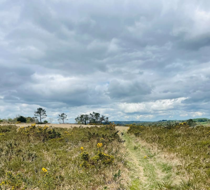 Landes du Cragou par la ligne de crête - Berrien