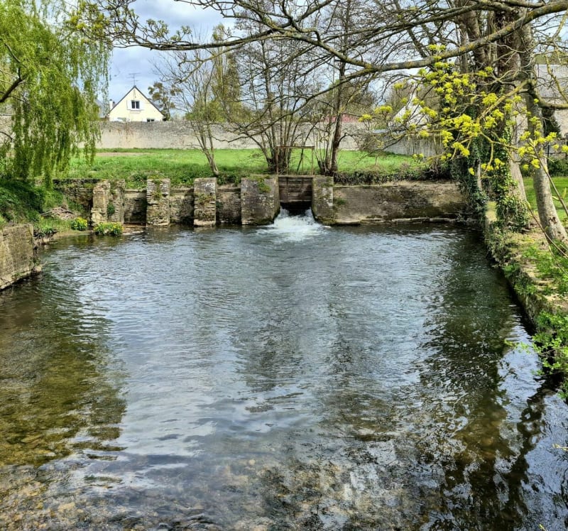 Bayeux,la fée d'Argouges - Vaux-sur-Aure
