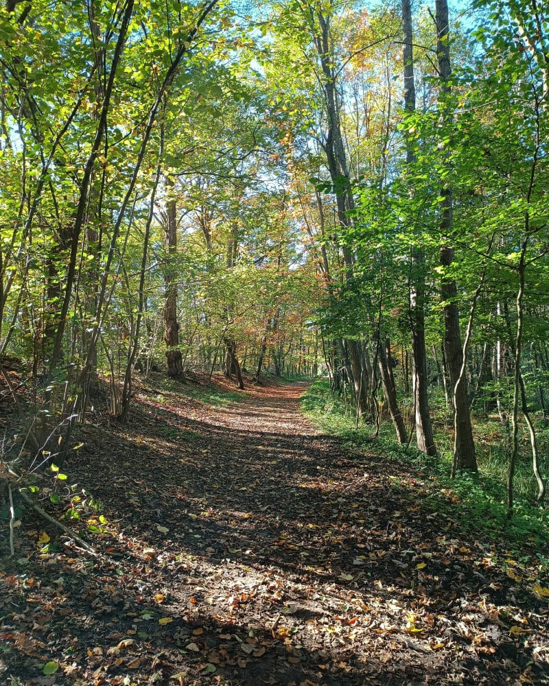 Parcours de santé de Schweighouse-sur-Moder - Schweighouse-sur-Moder