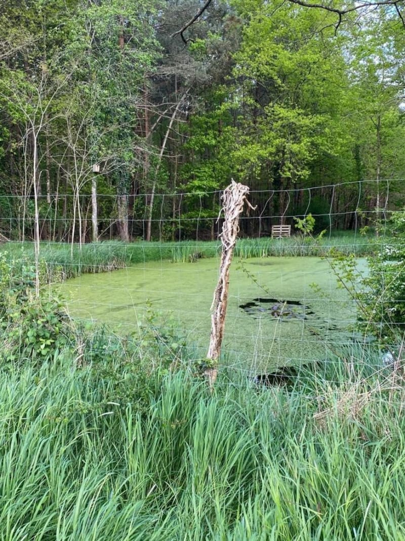 Randonnée Maslivoise - Maslives