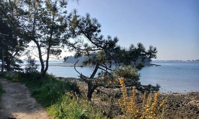 Boucle autour des 7 îles - Baden