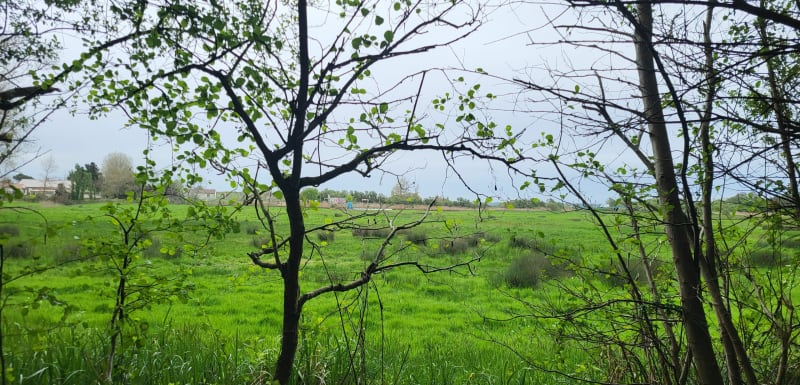 Balade entre marais et océan à Givrand - Givrand
