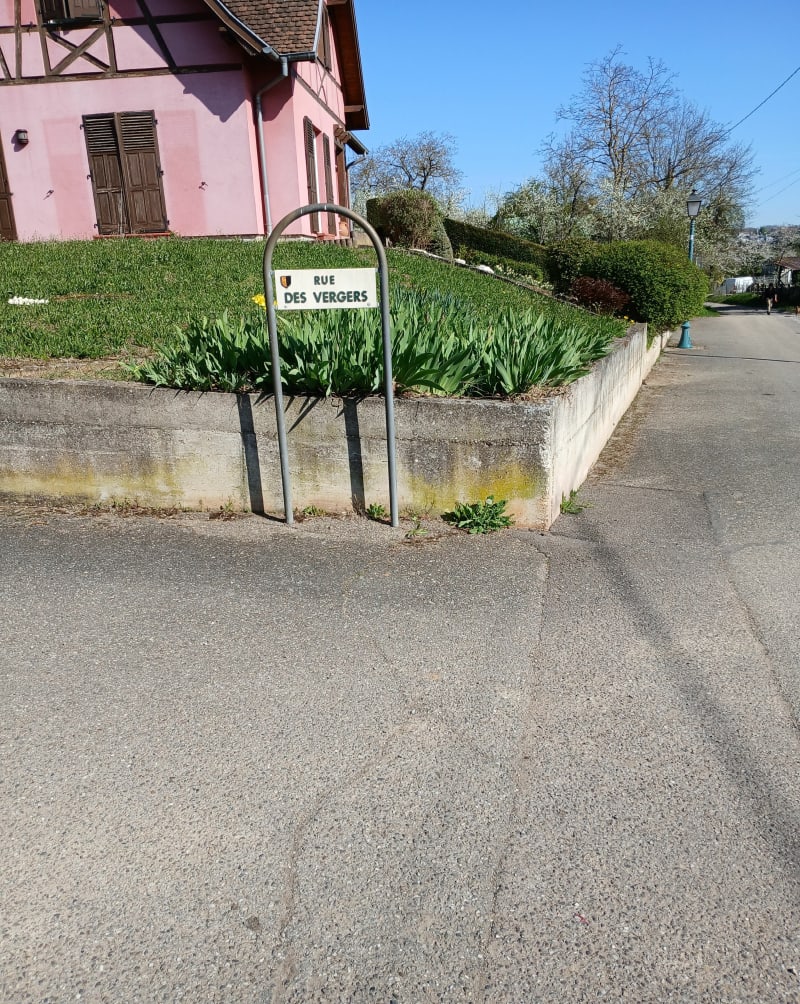 Balade au cœur du vignoble et au pied du Mont Saint Odile - Bernardswiller