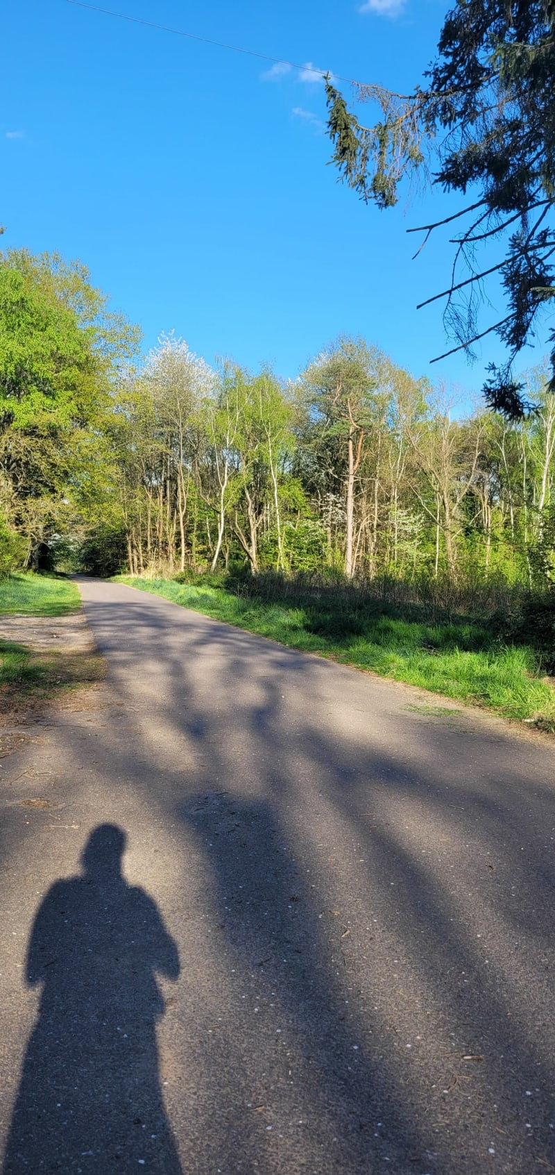 Du château d'eau de Creutzwald - Creutzwald