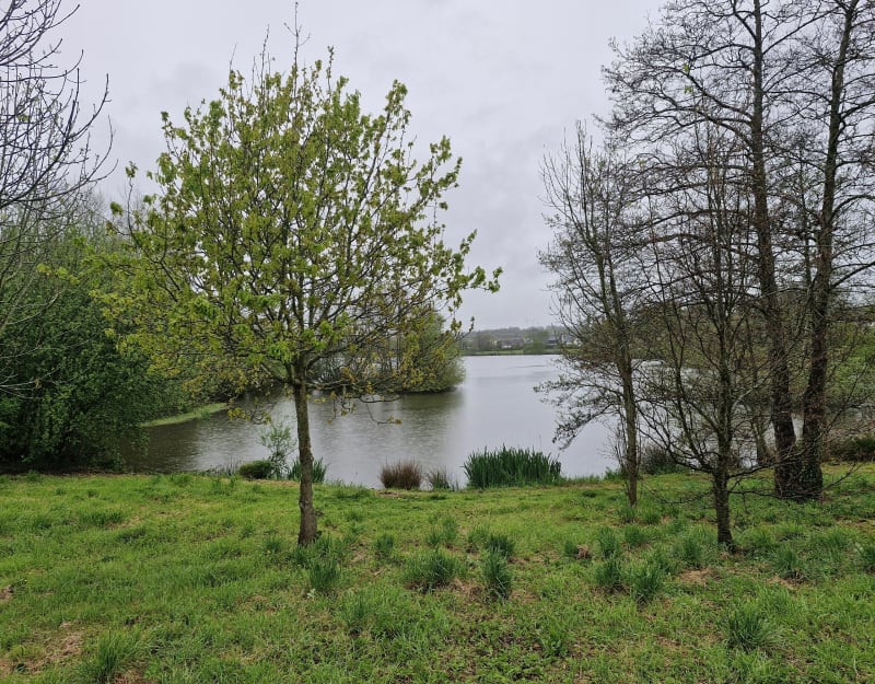 Tour du lac de la Comiren, St Renan - Saint-Renan