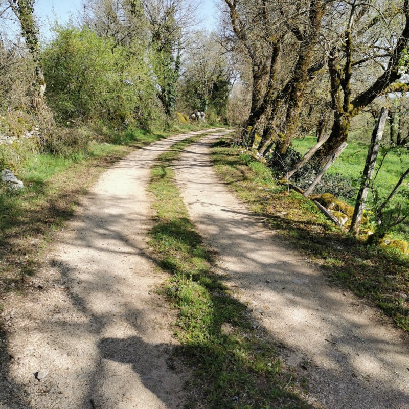 Les causses de Miers - Miers