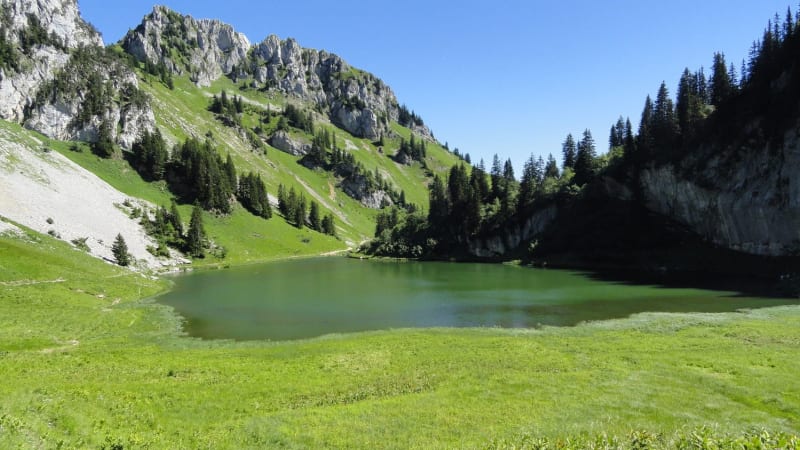 Randonnée lac d'Arvouin : étendue d'eau entourée d'herbe verte, d'arbres et de sommets rocheux